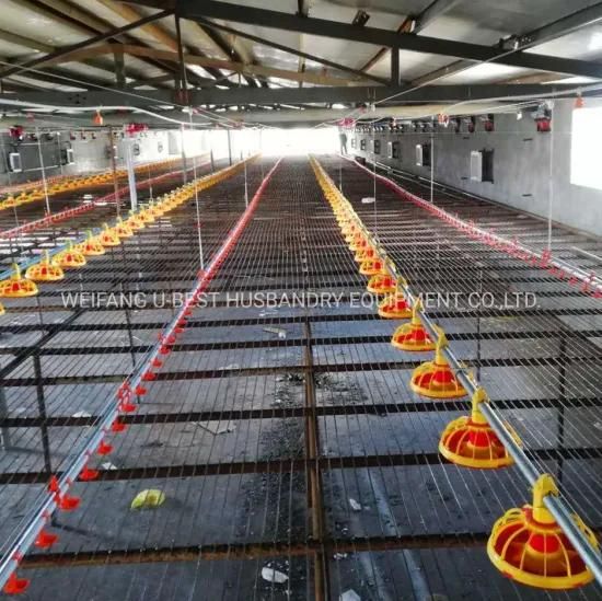 Full Package and Low Cost Chicken Broiler House Design South Africa