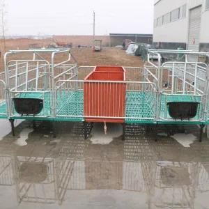Pig Equipment Pig Farrowing Crates Sow Farrowing Crate