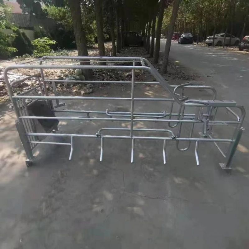 Livestock Equipment Farrowing Crate Pig Equipment for Sale