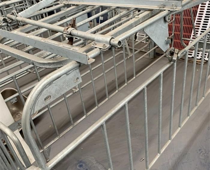 Hot DIP Galvanized Pig Gestation Crates Comfortable Environment for Piglets