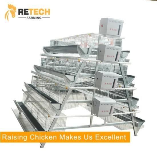 poultry farming 3 tiers 120 capacity chicken layer cage price