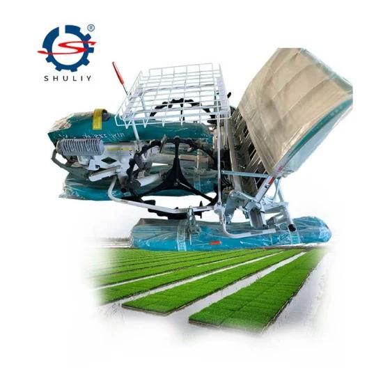 Mesin Tanam Padi Rice Seed Planter Seeder Tray Rice Transplanter for Paddy Rice