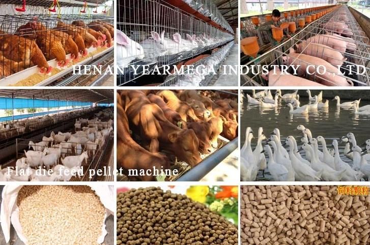 Small Animal Food Machine Pellet Making with a Good Performance
