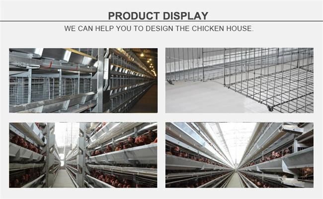 H Type 4 Tiers Chicken Battery Cage for 240 Chickens