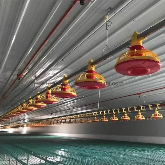 CE Approved Automatic Poultry Farm Equipment for Feeding and Watering Chicken