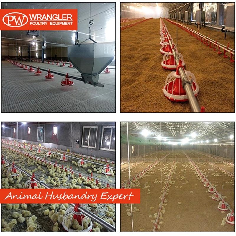 Automatic Chicken House Poultry Farm Equipment/Broiler Feeder