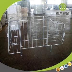 Easy-Installed High Quality Gestation Stall / Individual Stall Need Agent