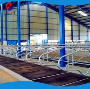 Galvanized Cow Cattle Free Stall for Dairy Farm Equipment Hot Selll