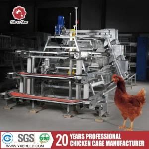 Zambia Lusaka Layer Chicken Farm Poultry Equipment