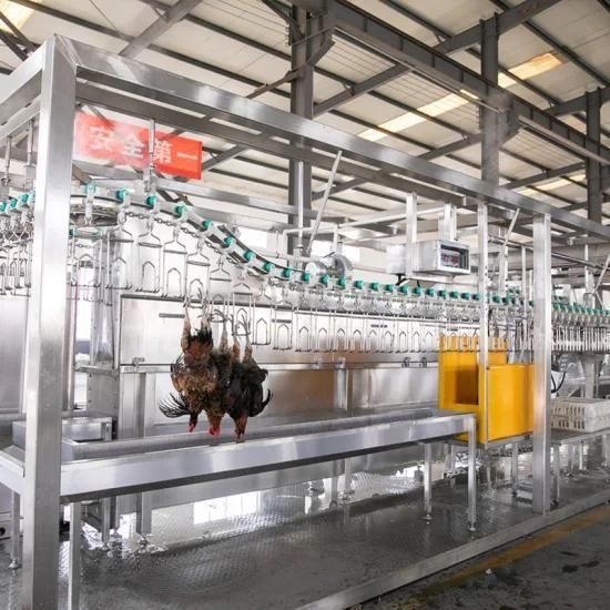 Raniche China Machine Compact Chicken Slaughtering Slaughter Line