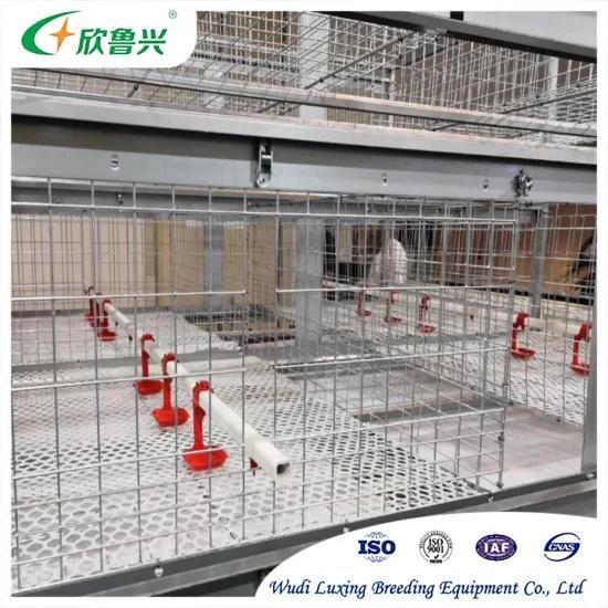 Poultry Farming Equipment Cage Broiler Chicken Cages Sale Products for Growing Broiler