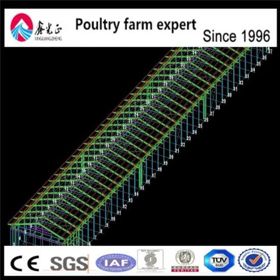 Light Steel Structure Layer Poultry Farming