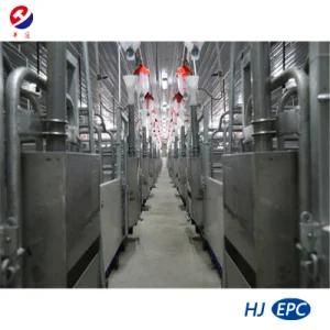 Wholly Hot Galvanized Farrowing Crates Used in Pig Farm