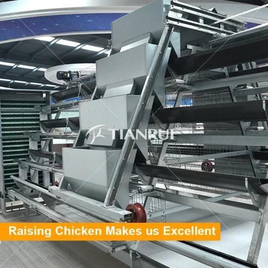 Hot-DIP Galvanized A Type Poultry farm equipment Chicken Egg Layer Cages