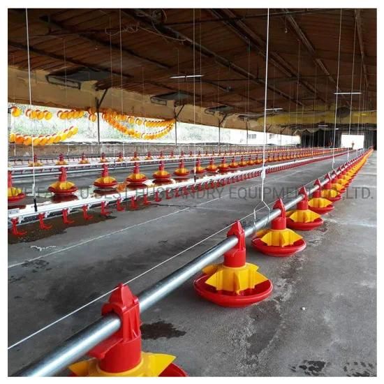 Steel Structure Poultry House Chicken Farming Equipment for Sale