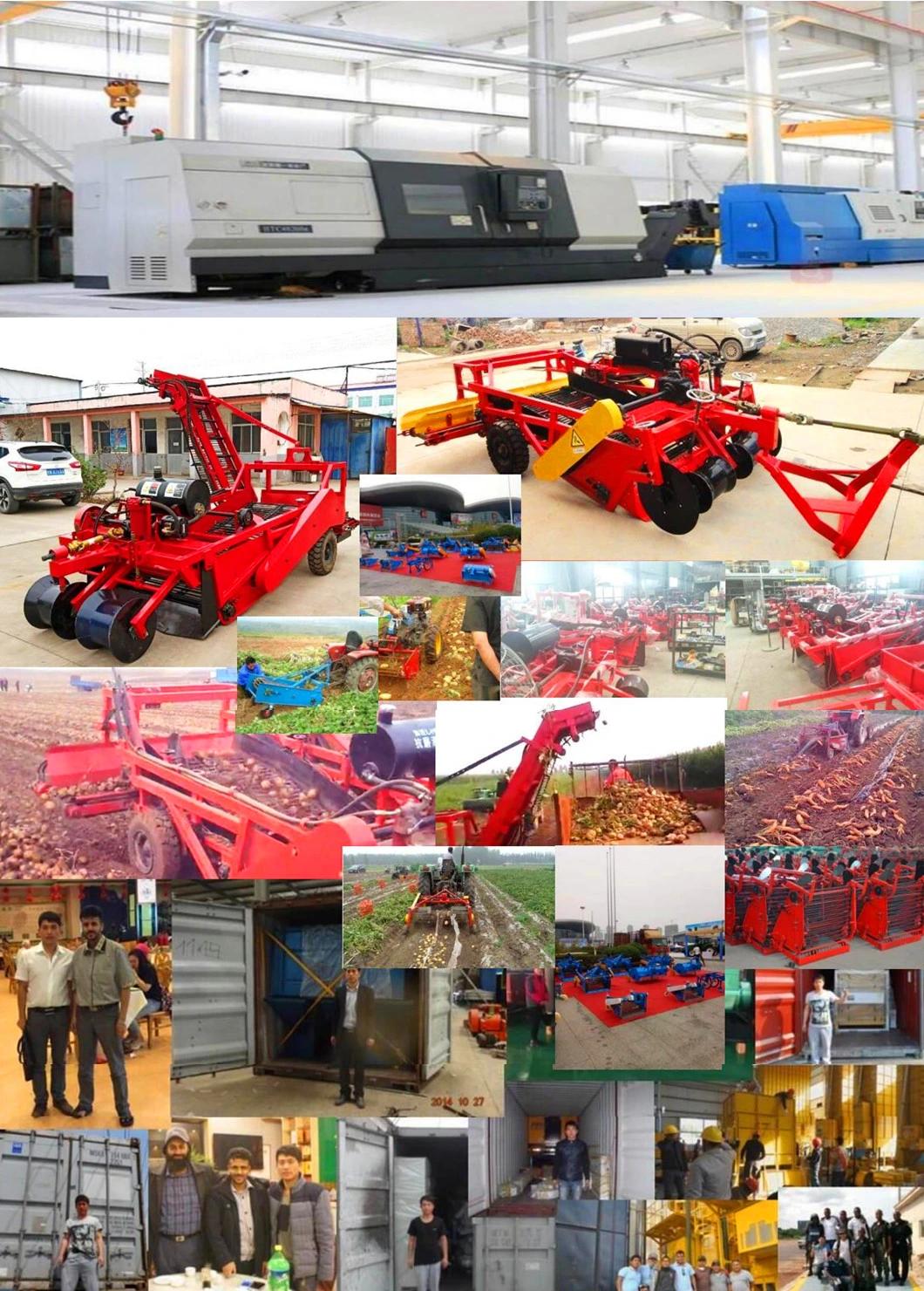 Small Tractor Walking Potato Harvester (factory selling customization)