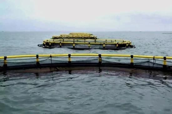 Economic Simple Circular Cage for Fish Culture in Freshwater Lake