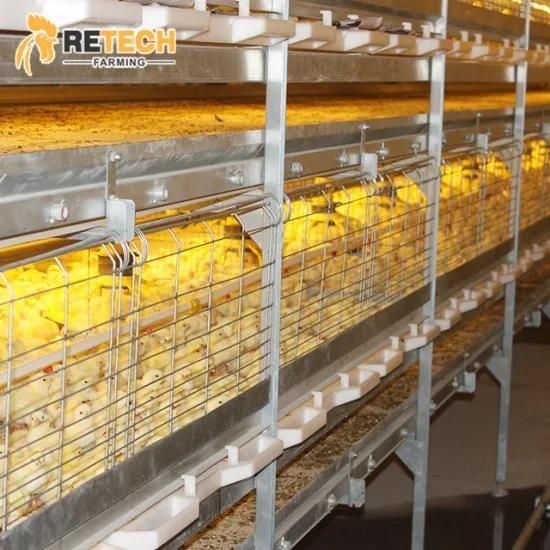 20000 birds poultry farm broiler rearing cage chicken equipment