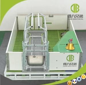 High Survival Rate Farrowing Crates Pig Cage Equipment Pig Cage Equipment