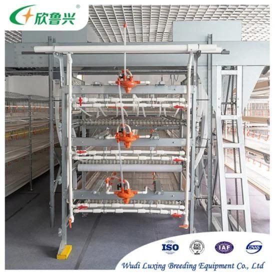 2021 Good Quality Hot Sale H Type Poultry Layer Chicken Cage for Sale
