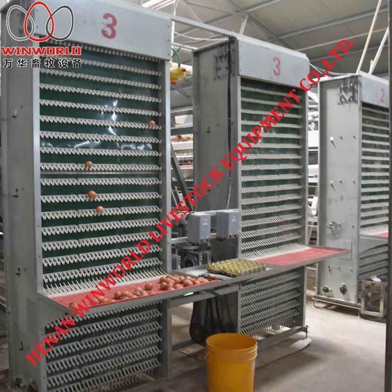 El Salvador Hot Sale Battery Layer Cage with Good Design & Hot Galvanized Chicken Cage in Chicken Shed