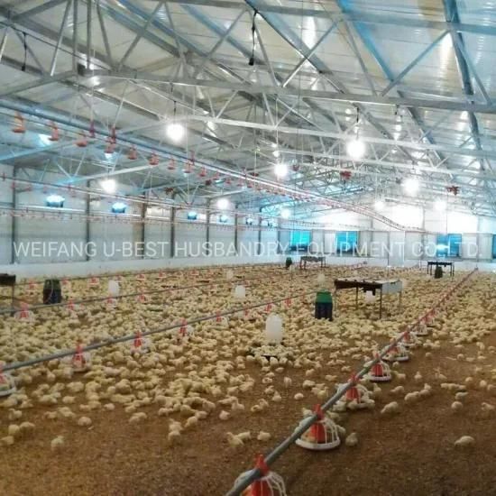 Good Price Galvanized Chicken Farming Broiler Feeding