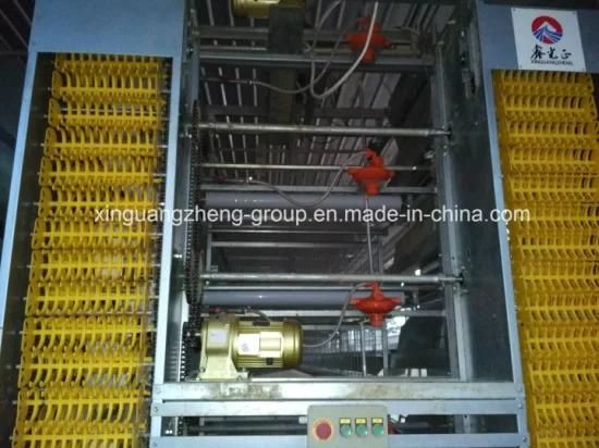Factory Egg Chicken Equipment for Sales