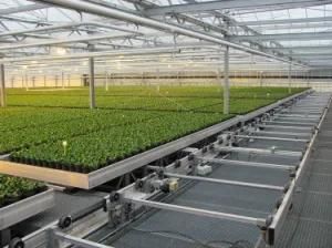 Skyplant 4'x8' Hydroponic Flood Tables and Trays Ebb and Flow Rolling Bench
