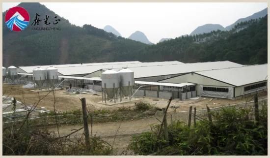 Steel Structure Prefabricated Pig Poultry House