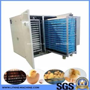 Large Automatic Digital Holding 50000 Chicken Egg Incubator Machine China Factory