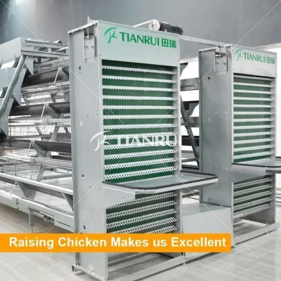 A Frame Galvanized Automatic Poultry Equipment For chicken