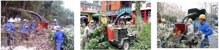 China Manufacturer Straw Grass Tree Branch Waste Wood Grinder