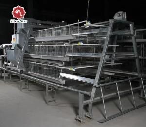 Automatic Layer Chicken Cage Equipment (A frame)
