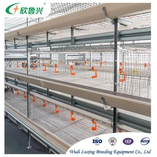 Poultry Chicken Layer Cages Large Farm Equipment