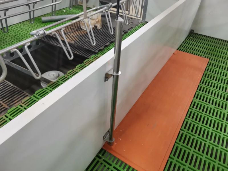 Modern Farm Customized High Quality Pig Farrowing Crates