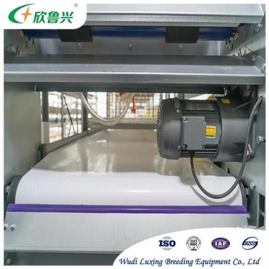 Poultry Farm Automatic Broiler Manure Removal Machine System for Cleaning Chicken Dung