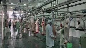 Halal Goat Slaughterhouse Equipments Sheep Skinning Peeling Dehiding Machine