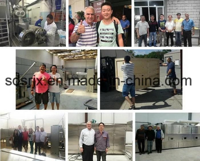 Double-Screw Puffed Aqurium Fish Food Carp Fish Feed 38% Protein Processing Line Equipment for Sale