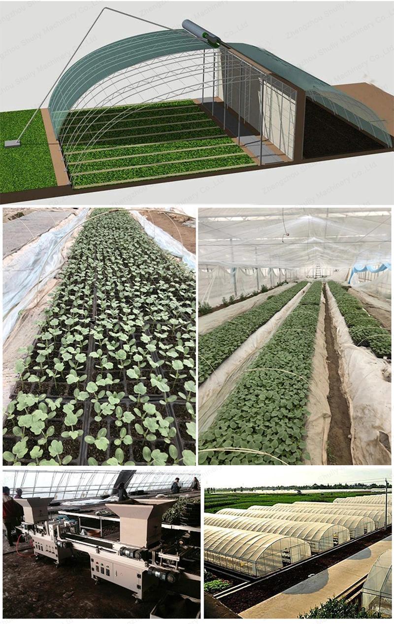 Automatic Onion Planting Machine Vegetable Nursery Seeding Machine