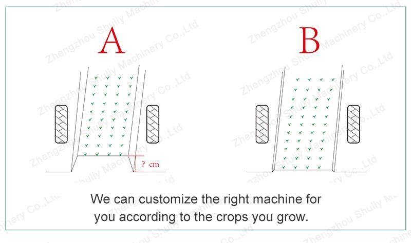 Time Saving and Labor Saving Lettuce Seed Transplanters Tobacco Transplanter