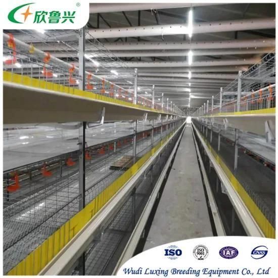 Animal Breeding Cages Automatic Watering Poultry Equipment Laying Battery Cage Chicken ...