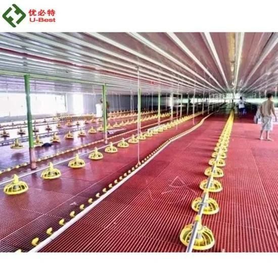 High Quality Automatic Poultry Feeding Line System for Chicken Equipment