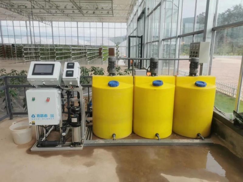 Fertigation System of Irrigation and Fertilizer Dosing in Industrial Greenhouse