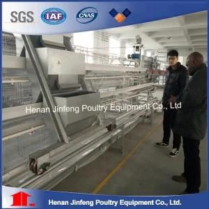 a Type Layer Cage Poultry Farm Machinery