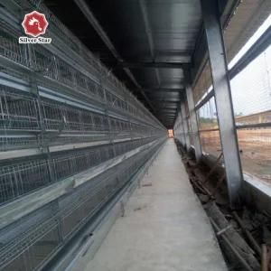 Fully Automatic Battery Layer Chicken Cage Poultry Farm