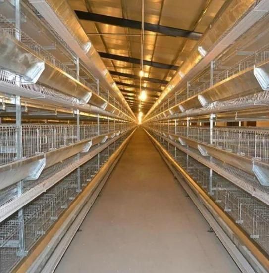 Chicken House/Poultry Equipment Cage System/Drinking Line /Poultry Farm Equipment /Poultry ...