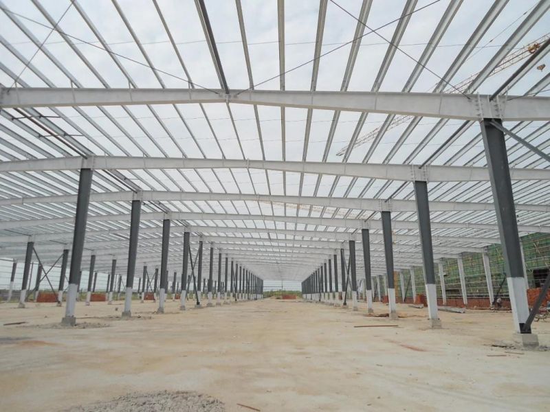 The New Design 2017 for Africa/Steel Structure Workshop Warehouse/ Low Cost and Higt Quality