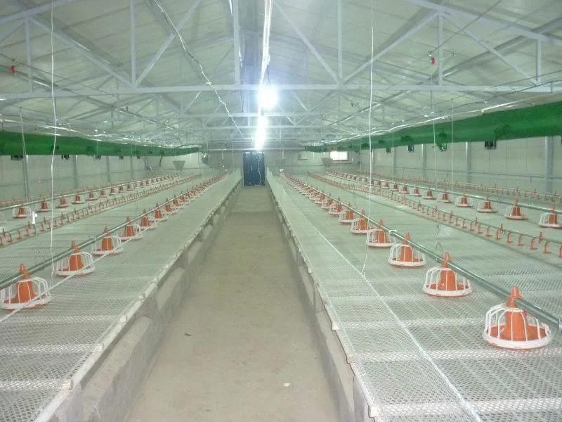 Automatic Poultry Feeder Line for Poulty Chicken House/Pan Feeding System