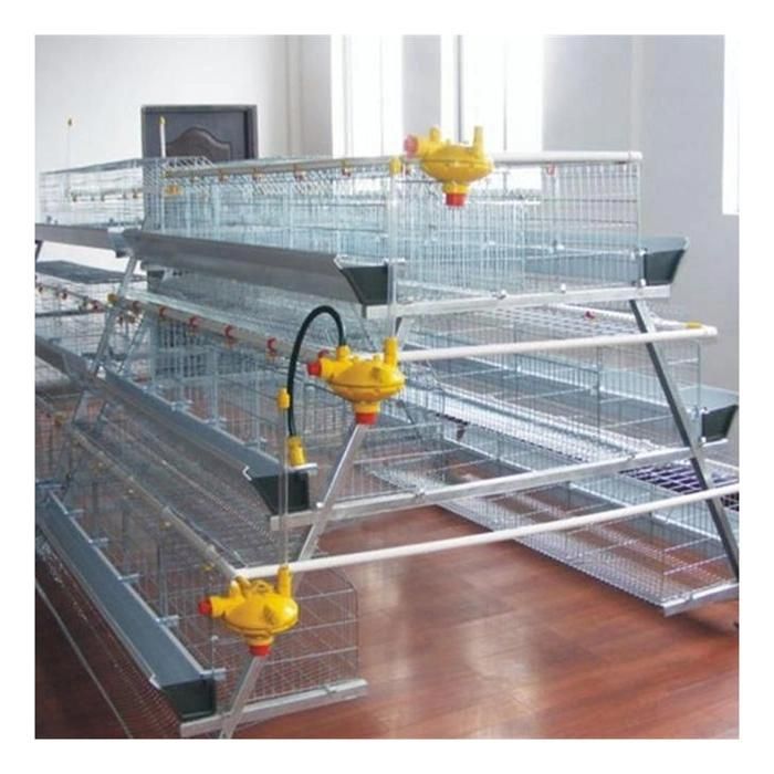 Commercial Galvanized Good Price a Type Layer Chicken Cage