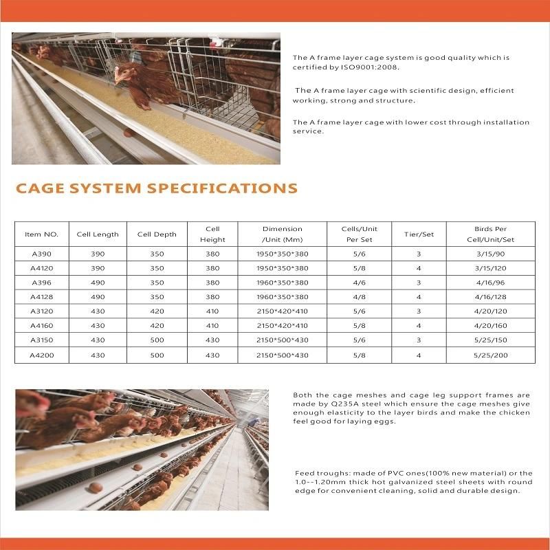 Best Quality a Frame Layer Chicken Cage System for Nigeria Market